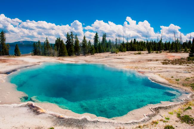 Hot Springs au parc national de Yellowstone